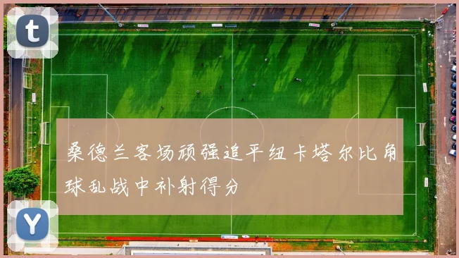 桑德兰客场顽强追平纽卡塔尔比角球乱战中补射得分