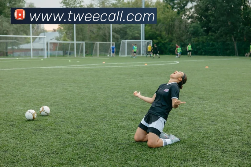 体育数据展示